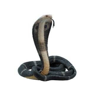 13 inch Animal Figure Coiled King Cobra Snake Collectible Display