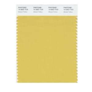   SMART 14 0837X Color Swatch Card, Misted Yellow: Home Improvement
