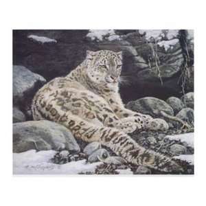  Awake   Snow Leopard Poster Print