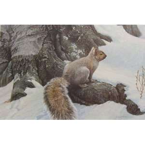  Robert Bateman   Gray Squirrel Canvas Giclee: Home 