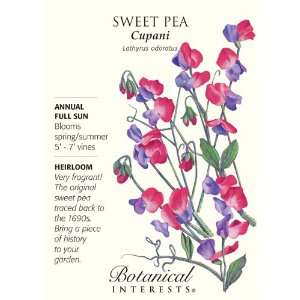  Cupani Sweet Pea Seeds   3 grams   Annual: Patio, Lawn 