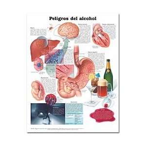  Alcoholism   Dangers of Alcohol Chart SPANISH LANGUAGE 