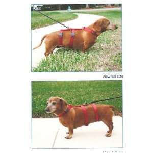  Harness for Dachshunds & Small Dogs: Pet Supplies