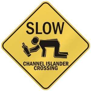   SLOW  CHANNEL ISLANDER CROSSING  GUERNSEY