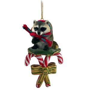  Raccoon Candy Cane Christmas Ornament: Home & Kitchen