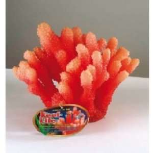  Acropora Coral/ Light Orange