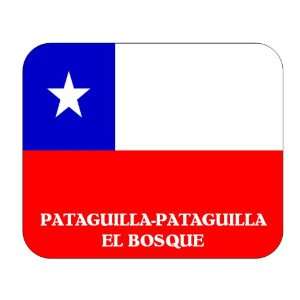  Chile, Pataguilla Pataguilla el Bosque Mouse Pad 