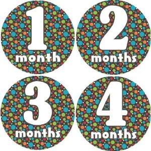 Wired Monthly Baby Bodysuit Stickers Baby