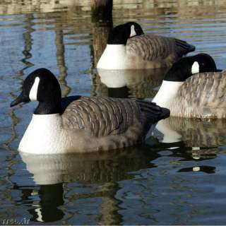 AVERY GREENHEAD GEAR CANADA GOOSE OS FLOATER DECOYS RES  