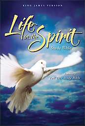 Life in the Spirit Study Bible  
