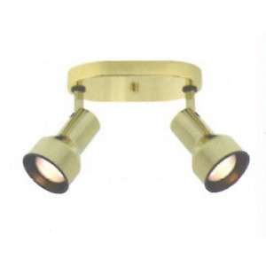 Polished Brass 2 Light Step Cylinder Ceiling Fixture  