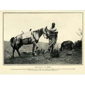  1910 Print Ethiopia Abyssinian Horse Saddle Abyssinia 