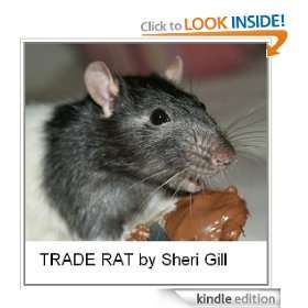   Chapter Books For All Ages) Sheri Gill  Kindle Store