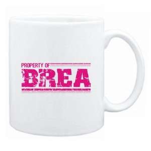  New  Property Of Brea Retro  Mug Name