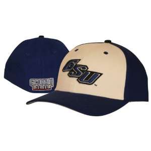 Georgia State University Blue Panthers 2 Tone Fitted Hat:  
