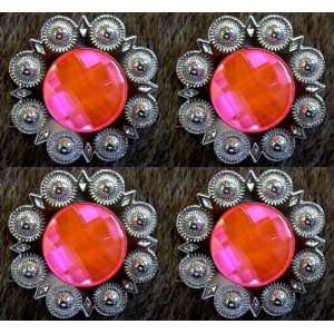  4 SILVER WITH PINK CRYSTALS BERRY CONCHOS 