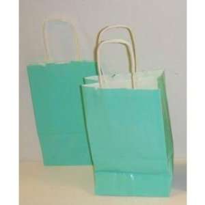  Mint Green Paper Gift Bag with Handles Case Pack 240: Home 