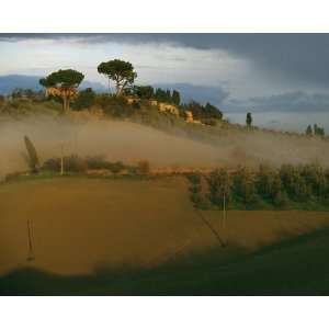   Geographic, Hillside in Tuscany, 16 x 20 Poster Print