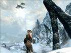 The Elder Scrolls V Skyrim Collectors Edition (PC, 2011) 93155117617 