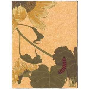 Sunflower & Caterpillar (Canv)    Print 
