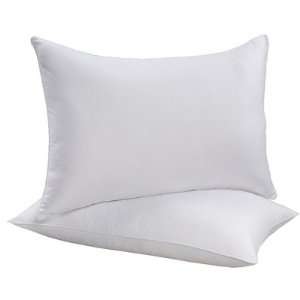  100% Cotton Sateen Down Alternative Pillow (Set of 2) Size 