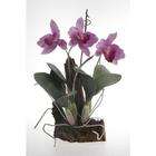 Nearly Natural Dancing Lady Silk Orchid Arrangement w/Moss Pot