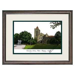  University of Illinois at Urbana Champaign Alumnus Framed 