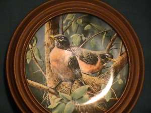 The Robin   Kevin Daniel Knowles Collector Plate  