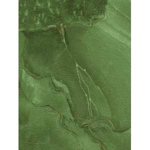   COLOUR BY DESIGN GREEN Wallpaper  BC1581915 Wallpaper