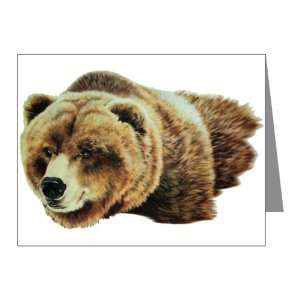    Note Cards (10 Pack) Bear   Male Grizzly Bear 