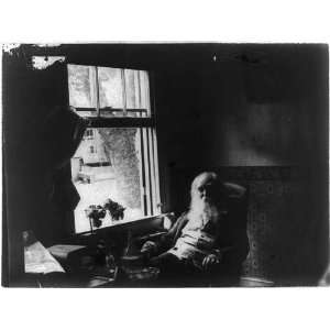 Walt Whitman,1819 1892,seated by a window,American Poet,Father of Free 