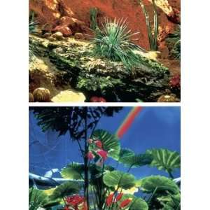    Penn Plax DB6 Reptile Cactus Garden / Rainforest
