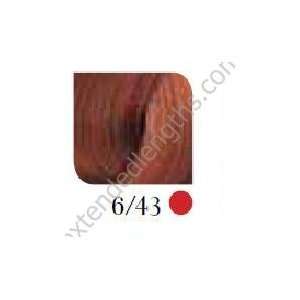   Professional Hair Color  REDS   6/43 Red Gold