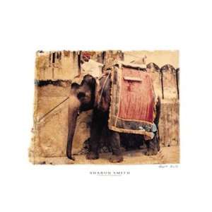 Indian Elephant by Sharon Smith 16x12 