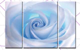 BLUE ROSE XXL 3 BILDER LEINWAND BLUMEN NATUR 3300160  