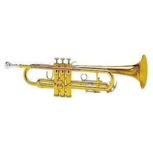  King 601 trumpet: Musical Instruments
