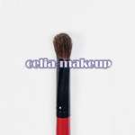 30 Pro Red&Black Deluxe Mineral Make up Brush set[BS22]  