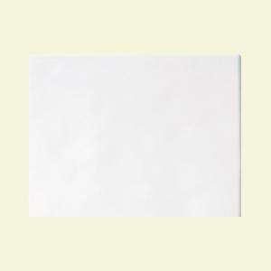   Gloss White 8 In. X 10 In. Wall Tile PL028101P2 