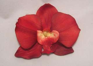 Red Orchid Hair Flower Clip  