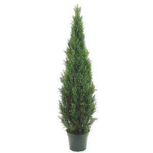  6 Potted Artificial Cedar Topiary Tree: Home & Kitchen