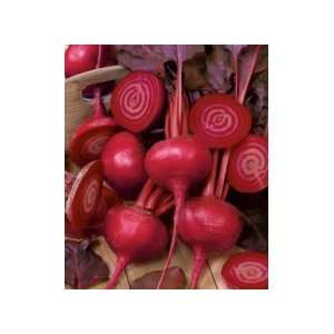  Todds Seeds   Beets   Bulls Blood Beet Seed, Sold by the 
