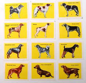 1960s Russia DOGS 12 Matchbox Labels  