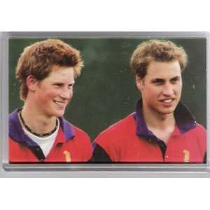  Princes William and Harry Fridge Magnet 