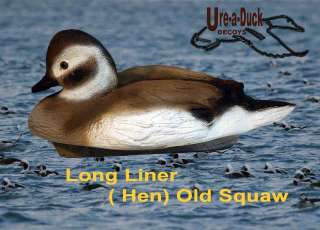 Diving Old Squaw Decoys Long Tail Decoys Best on Market  