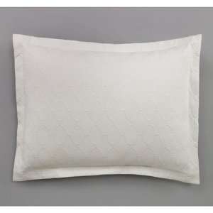  DwellStudio Pintuck Pearl Standard Pillow Case Pair