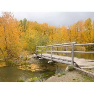 Autumn Color at Easton Ponds with Trail, Wenatchee National Forest 