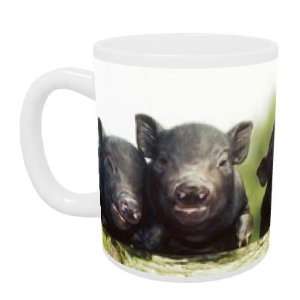  Ten day old Vietnamese Pot Bellied pigs   Mug   Standard 
