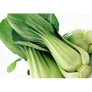  Chinese Cabbage Pak Choy White Stem Seeds 2.5g Pkg 