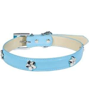   Dog Collar   Leather Collar with Flower Studs   Blue   XX Small Pet