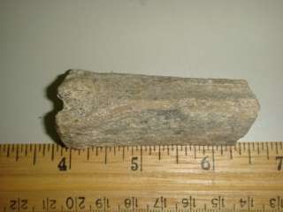 Fossil Pliocene Pleistocene Horse Bone   Leg SD1537  